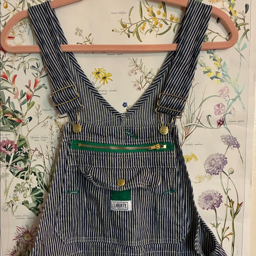 Liberty Navy and White Striped Overalls with Green Zipper M